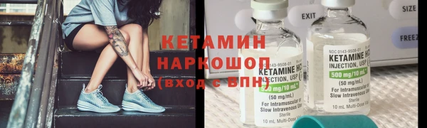 сатива Кукмор