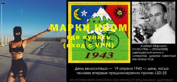 сатива Кукмор