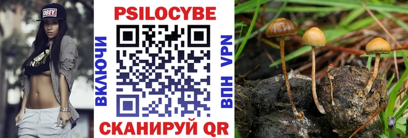 Псилоцибиновые грибы мицелий  Купить закладки  Белоярский 